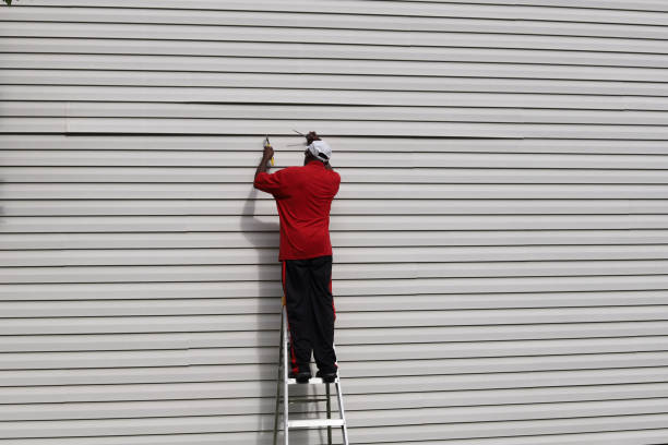 Best Engineered Wood Siding  in Rainelle, WV