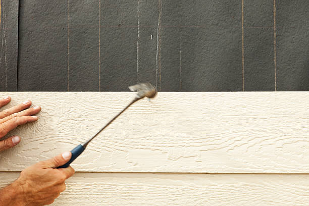 Best Storm Damage Siding Repair  in Rainelle, WV